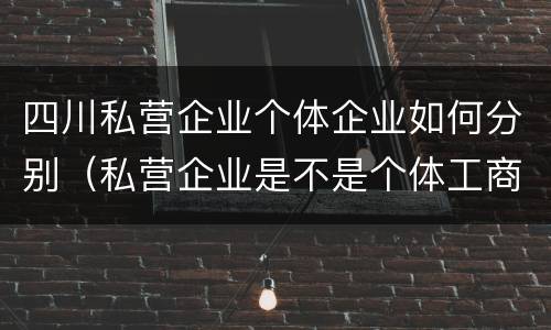 四川私营企业个体企业如何分别（私营企业是不是个体工商户）