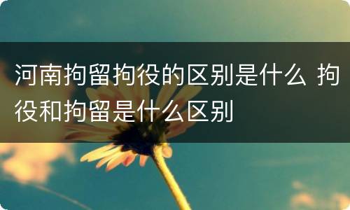 河南拘留拘役的区别是什么 拘役和拘留是什么区别