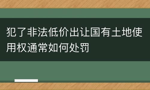 犯了非法低价出让国有土地使用权通常如何处罚