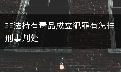 非法持有毒品成立犯罪有怎样刑事判处