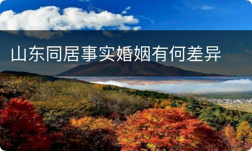 山东同居事实婚姻有何差异