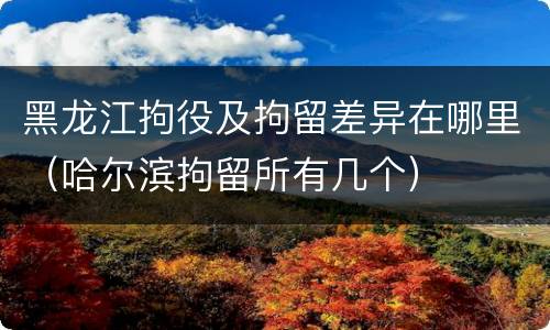 黑龙江拘役及拘留差异在哪里（哈尔滨拘留所有几个）