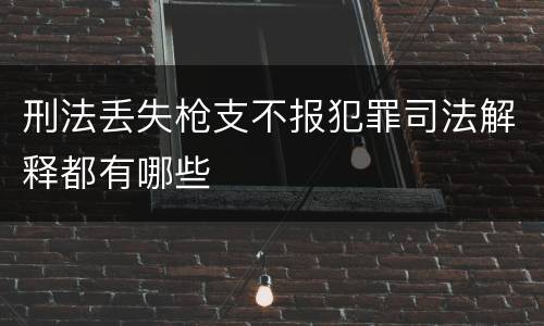 刑法丢失枪支不报犯罪司法解释都有哪些