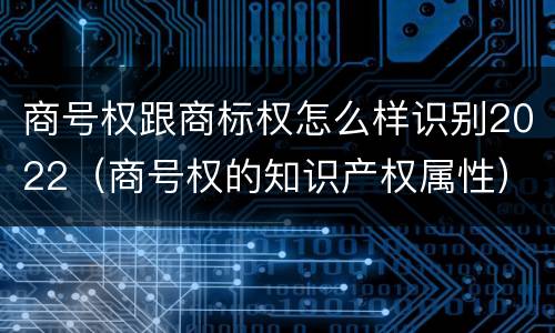 商号权跟商标权怎么样识别2022（商号权的知识产权属性）