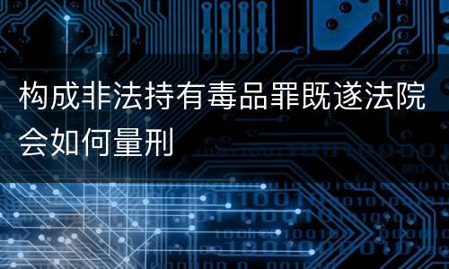 构成非法持有毒品罪既遂法院会如何量刑