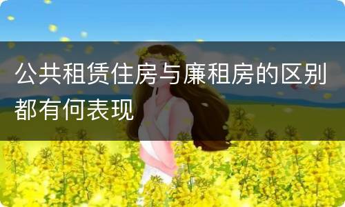 公共租赁住房与廉租房的区别都有何表现