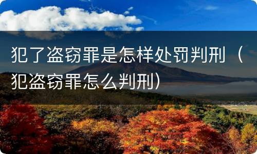犯了盗窃罪是怎样处罚判刑（犯盗窃罪怎么判刑）