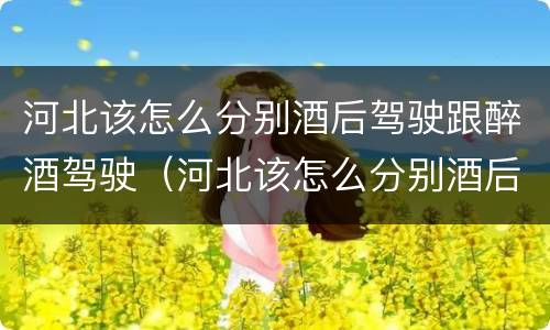 河北该怎么分别酒后驾驶跟醉酒驾驶（河北该怎么分别酒后驾驶跟醉酒驾驶人）
