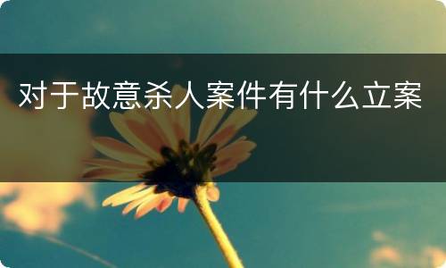 对于故意杀人案件有什么立案