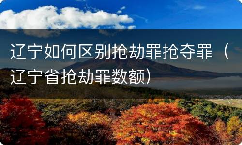 辽宁如何区别抢劫罪抢夺罪（辽宁省抢劫罪数额）