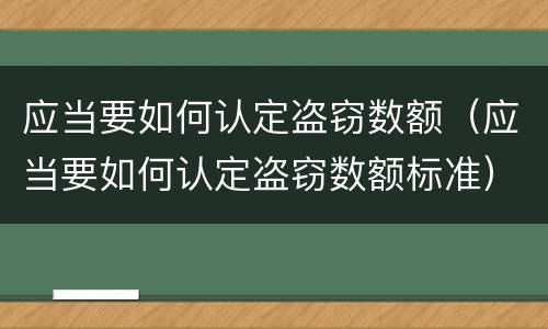 应当要如何认定盗窃数额（应当要如何认定盗窃数额标准）