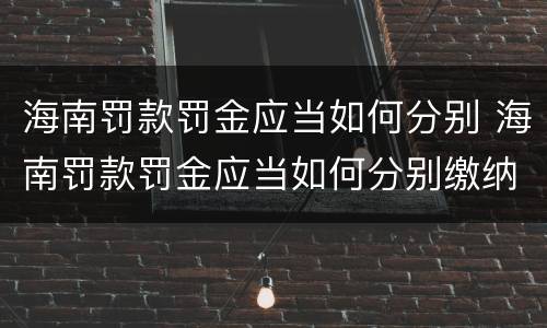 海南罚款罚金应当如何分别 海南罚款罚金应当如何分别缴纳