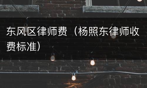 东风区律师费（杨照东律师收费标准）