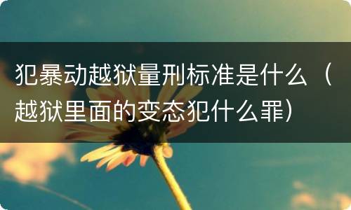 犯暴动越狱量刑标准是什么（越狱里面的变态犯什么罪）