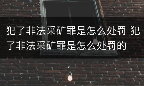 犯了非法采矿罪是怎么处罚 犯了非法采矿罪是怎么处罚的