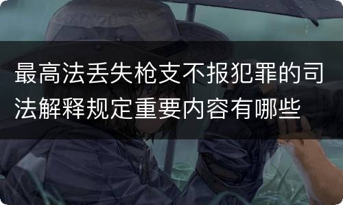 最高法丢失枪支不报犯罪的司法解释规定重要内容有哪些