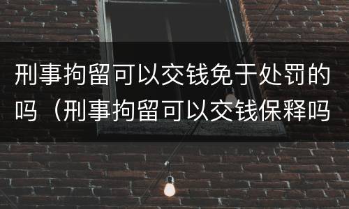 刑事拘留可以交钱免于处罚的吗（刑事拘留可以交钱保释吗）