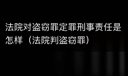 法院对盗窃罪定罪刑事责任是怎样（法院判盗窃罪）