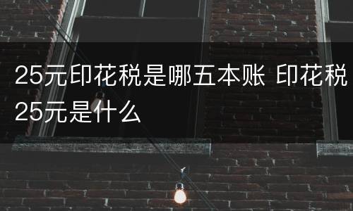 25元印花税是哪五本账 印花税25元是什么