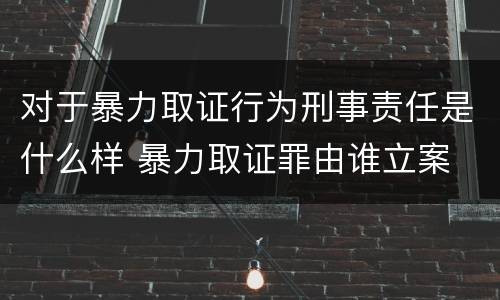 对于暴力取证行为刑事责任是什么样 暴力取证罪由谁立案