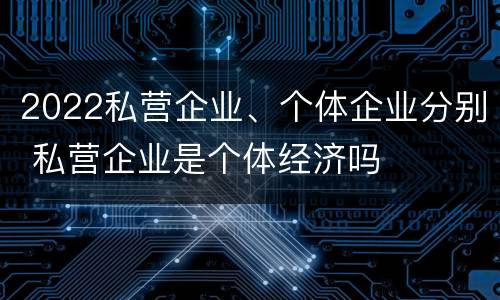 2022私营企业、个体企业分别 私营企业是个体经济吗