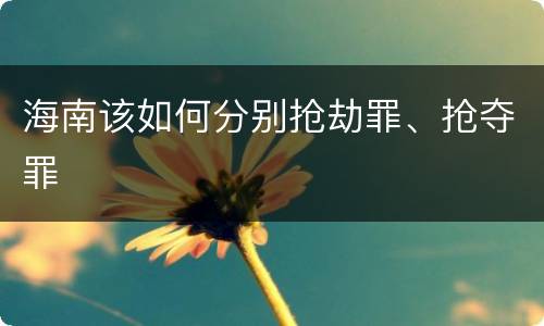 海南该如何分别抢劫罪、抢夺罪