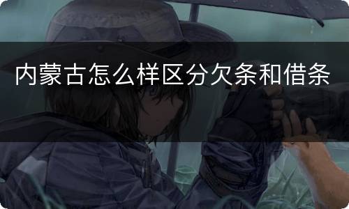 内蒙古怎么样区分欠条和借条