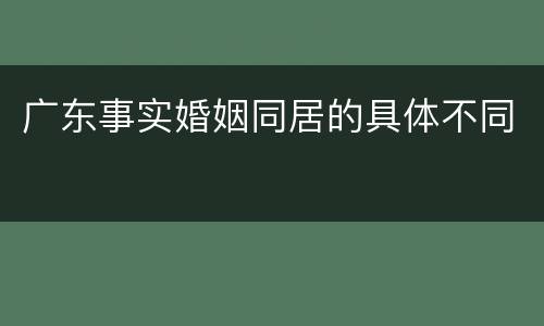 广东事实婚姻同居的具体不同