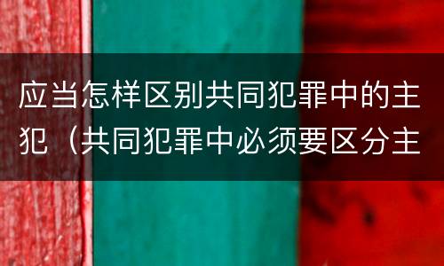 应当怎样区别共同犯罪中的主犯（共同犯罪中必须要区分主从犯）