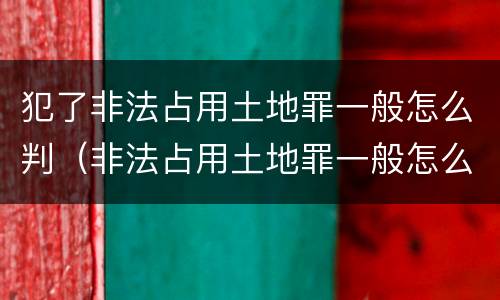 犯了非法占用土地罪一般怎么判（非法占用土地罪一般怎么判决）