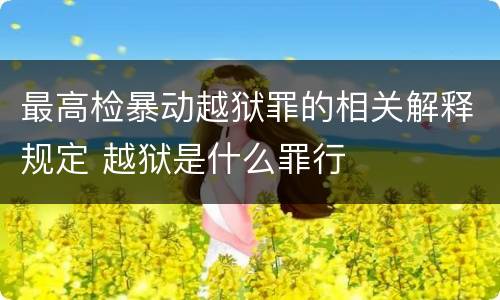 最高检暴动越狱罪的相关解释规定 越狱是什么罪行