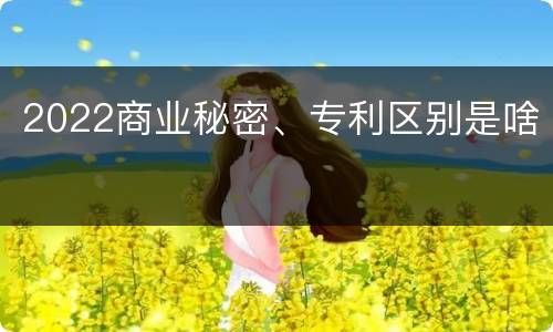 2022商业秘密、专利区别是啥