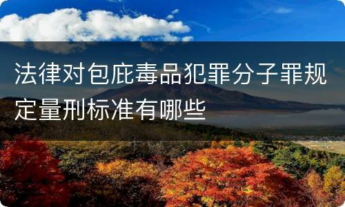 法律对包庇毒品犯罪分子罪规定量刑标准有哪些