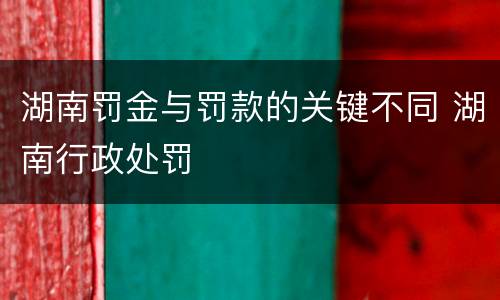 湖南罚金与罚款的关键不同 湖南行政处罚