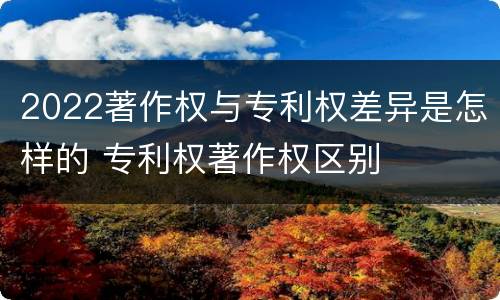 2022著作权与专利权差异是怎样的 专利权著作权区别