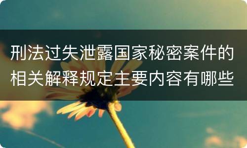 刑法过失泄露国家秘密案件的相关解释规定主要内容有哪些