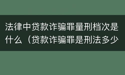 法律中贷款诈骗罪量刑档次是什么（贷款诈骗罪是刑法多少条）