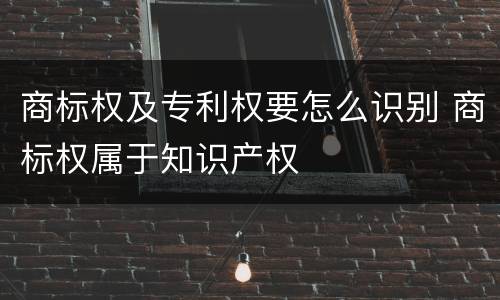 商标权及专利权要怎么识别 商标权属于知识产权