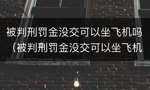 被判刑罚金没交可以坐飞机吗（被判刑罚金没交可以坐飞机吗要坐多久）