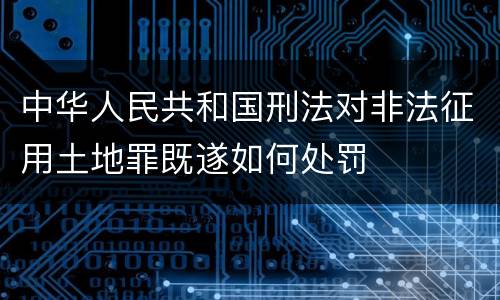 中华人民共和国刑法对非法征用土地罪既遂如何处罚