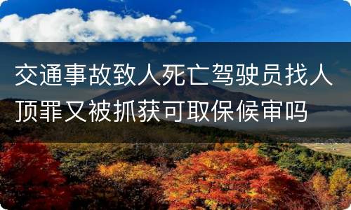 交通事故致人死亡驾驶员找人顶罪又被抓获可取保候审吗