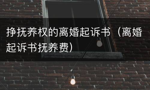 挣抚养权的离婚起诉书（离婚起诉书抚养费）
