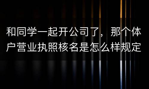 和同学一起开公司了，那个体户营业执照核名是怎么样规定的