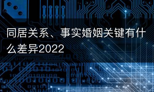 同居关系、事实婚姻关键有什么差异2022