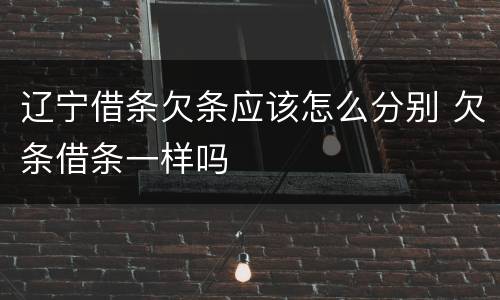 辽宁借条欠条应该怎么分别 欠条借条一样吗