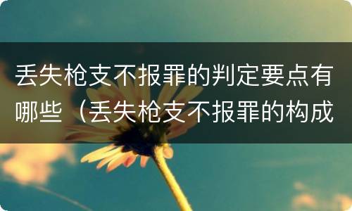 丢失枪支不报罪的判定要点有哪些（丢失枪支不报罪的构成要件）