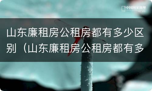 山东廉租房公租房都有多少区别（山东廉租房公租房都有多少区别啊）