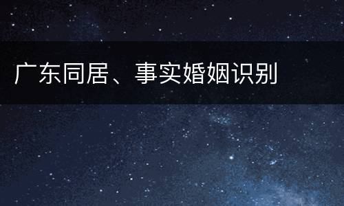 广东同居、事实婚姻识别