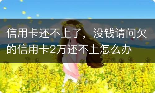 信用卡还不上了，没钱请问欠的信用卡2万还不上怎么办