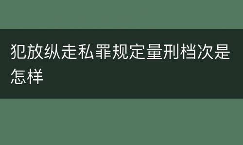 犯放纵走私罪规定量刑档次是怎样